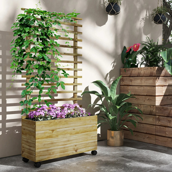 Dakota Fields Briannie Wood Outdoor Elevated Planter Wayfair Co Uk